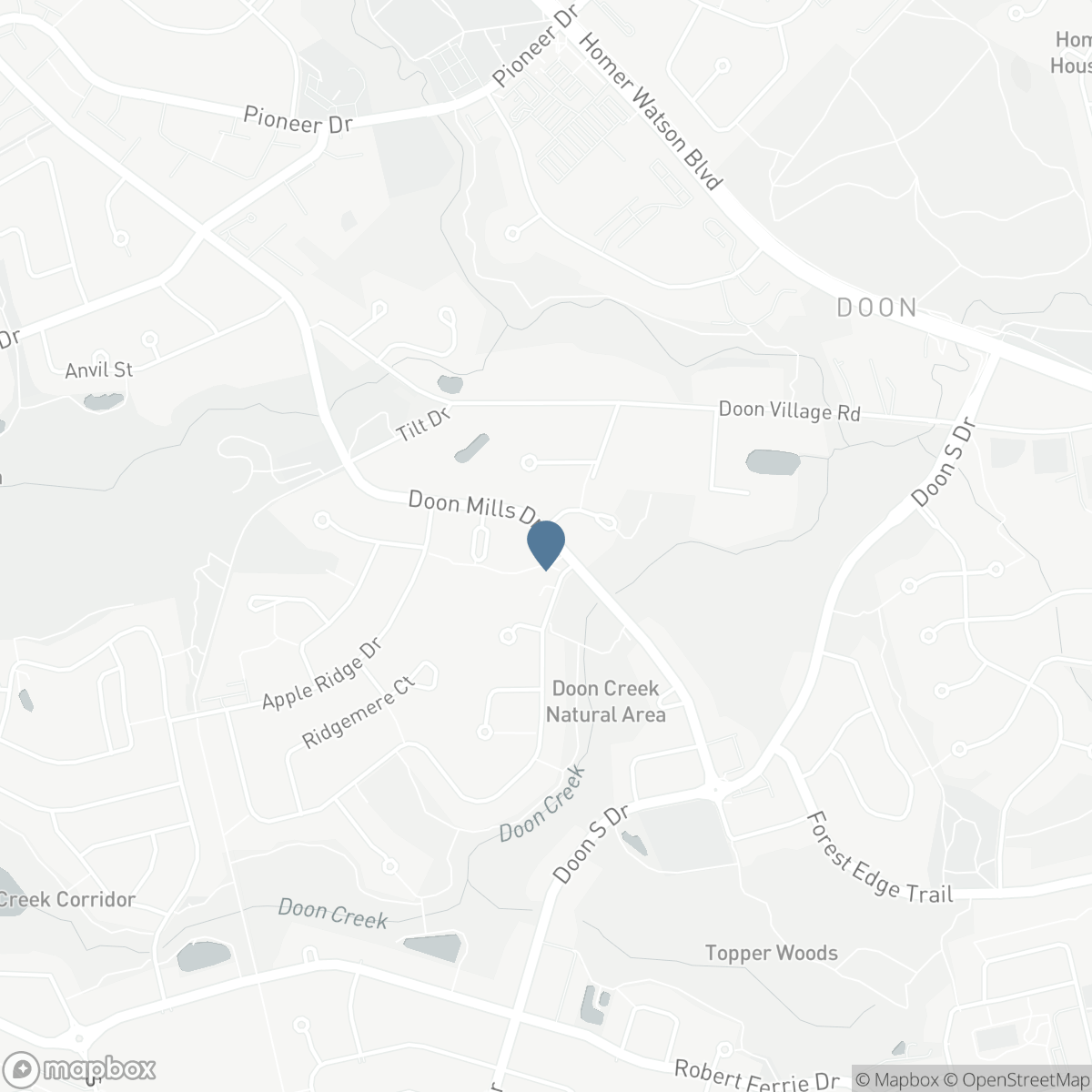 165 DOON MILLS Drive, Kitchener, Ontario N2P 2S1